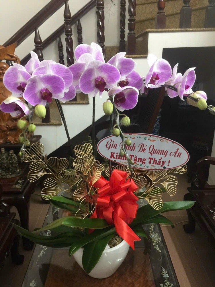 Hoa chúc mừng gia đình bé Quang An kính tặng Thầy Lê Văn Thông